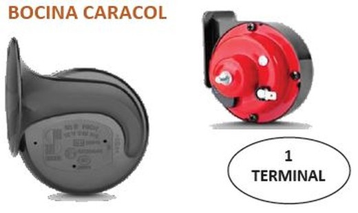 Bocina De Caracol Aguda