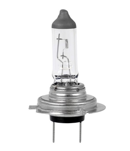 Lámpara halógena h7 12v Z7 - M-Tech
