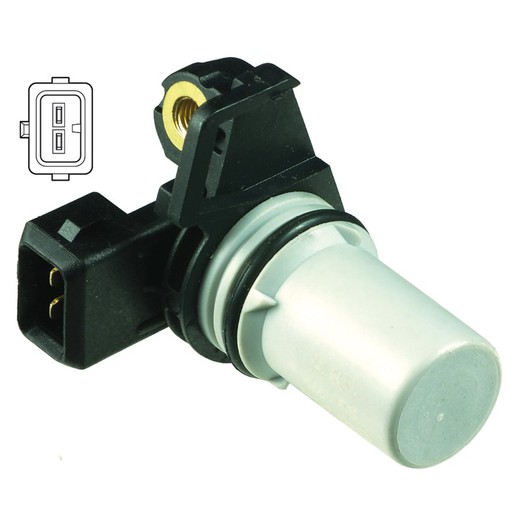 Sensor del cigüeñal SS11079 - Delphi