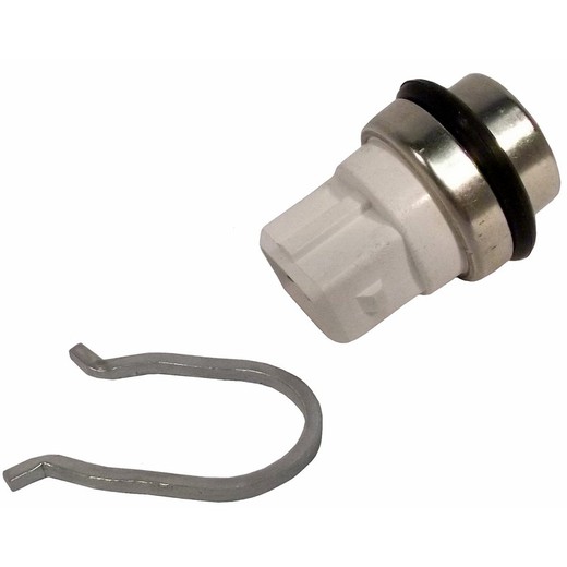 Sensor de temperatura refrigerante TS10321 - Delphi