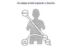 Cinturón Trasero Automático Con 3 Puntos De Anclaje