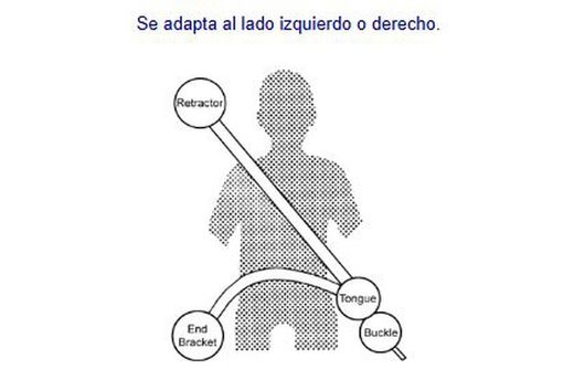 Cinturón Trasero Automático Con 3 Puntos De Anclaje