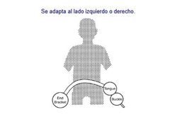 Cinturón Trasero Ventral Estático Con 2 Puntos De Anclaje