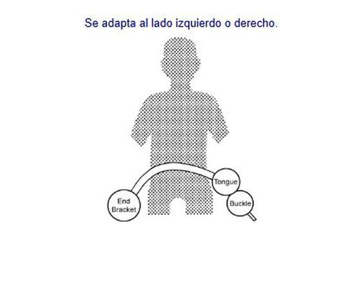 Cinturón Trasero Ventral Estático Con 2 Puntos De Anclaje