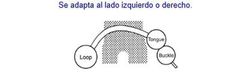 Cintura di sicurezza posteriore statica con 2 punti di ancoraggio