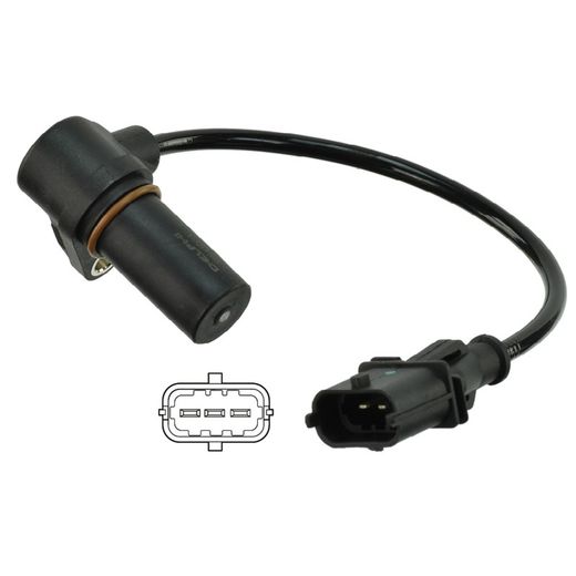 Sensor de virabrequim SS11081 - Delphi